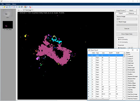 blob analysis